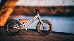 Early Rider, Charger 12, Kinderrad 2023 4 Early Rider, Charger 12, Kinderrad 2023 -Fahrrad Serie Laden 20200122 155242000 ios