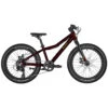 Bergamont Bergamonster 20 Plus Girl Kinderfahrrad