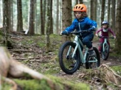 SCOR, 0020 Kids MTB 2022 -Fahrrad Serie Laden scor 0020 kids bike gallery 1