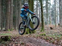 SCOR, 0024 Kids MTB 2023 -Fahrrad Serie Laden scor 0024 kids bike gallery 1